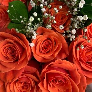 Meet your Posher, Jodi